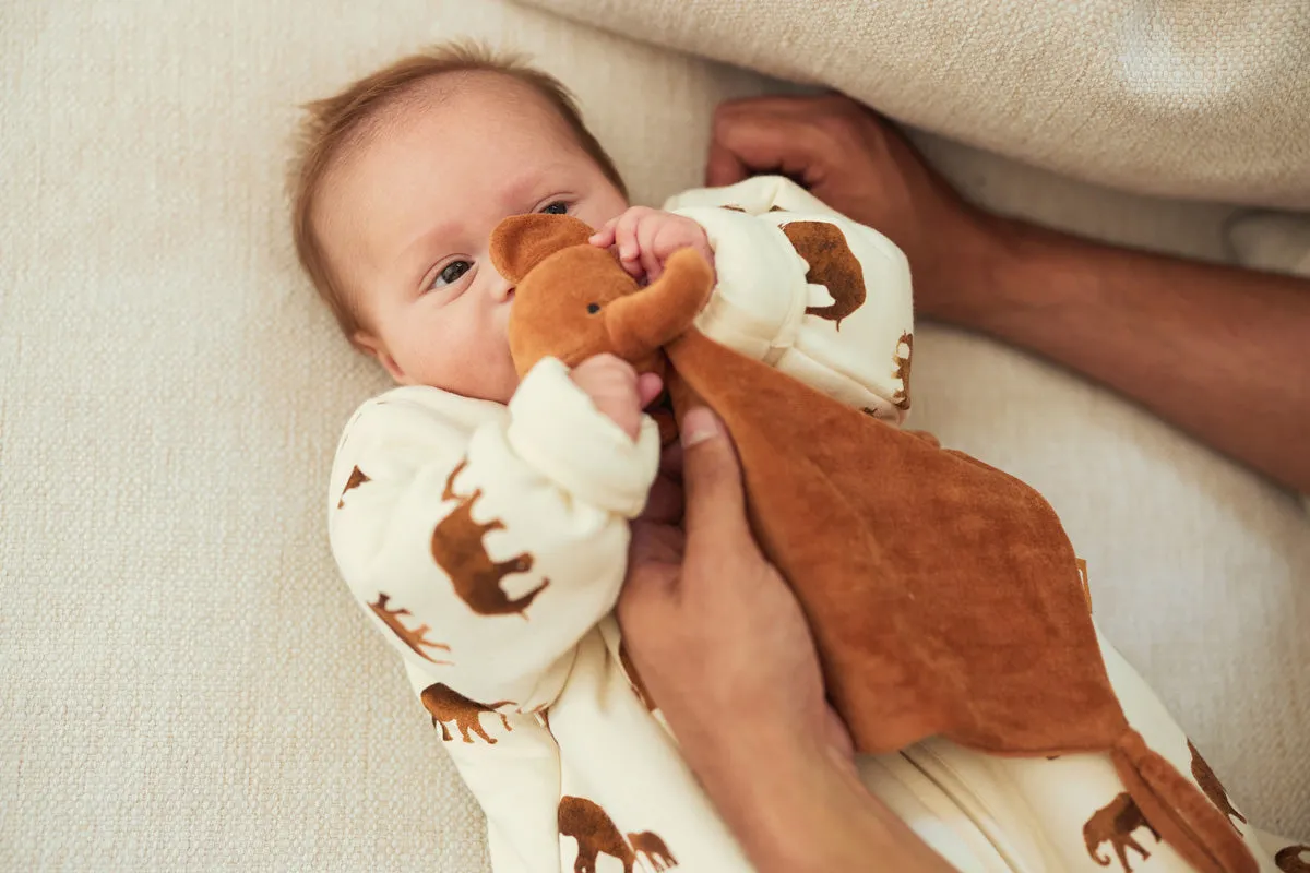 Pacifier Cloth  Elephant